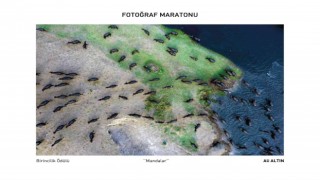 Fotoğrafçılar Maratonunda ödüller sahiplerini buldu
