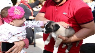 Gaziantep uygulaması ile puanını tamamlayanlara mama verildi