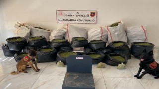 Gaziantepte 235 kilo kubar esrar ele geçirildi