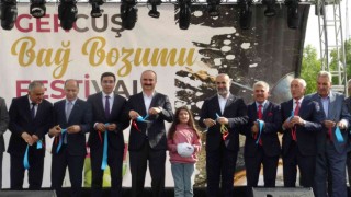 Gercüşte bağ bozumu festivali düzenlendi