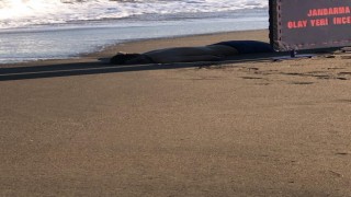 Giresunda sahilde bir erkek cesedi bulundu