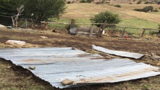 Giresunun Alucra ilçesinde etkili olan fırtına çatıları uçurdu