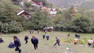 Gümüşhanede trafik kazası: 3 ölü