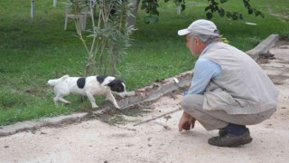 Haber yaparken köpeğin saldırısına uğradı