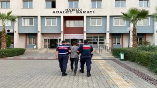 Hakkında 11 yıl 11 ay hapis cezası ile aranan şahıs jandarmaya takıldı