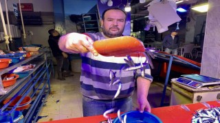 Hamsi, balık tezgâhlarını süsledi