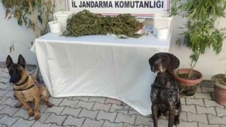 Hatayda 2 kilo 450 gram esrar ele geçirildi
