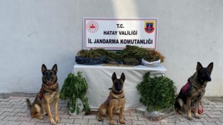 Hatayda uyuşturucu operasyonunda 4 kişi gözaltına alındı