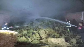 Hayvan damındaki yangın söndürüldü