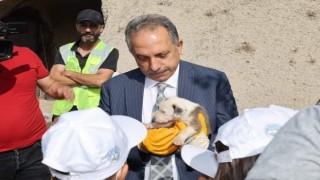 Hayvanları Koruma Gününde ‘hayvan mezarlığı müjdesi