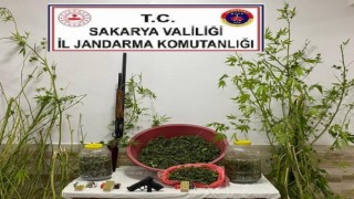 Hazırladığı uyuşturucuları satacaktı, jandarma yakaladı