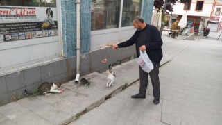 Her sabah iş yerini açmadan sokak kedilerini besliyor