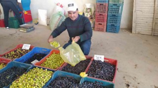 Hisarcık halkı salamura zeytin yapımına yöneldi