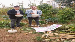 Hobi bahçesinin mahsullerini öğrenciler topladı