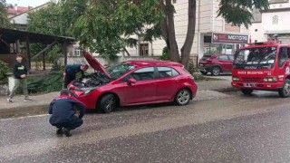 İnatçı kedi ekipleri çok uğraştırdı