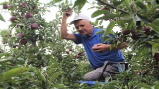 Ispartada elma üretiminin ekonomiye katkısı 2,5 milyar TL oldu