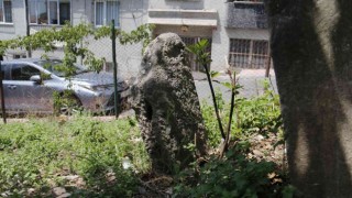 İstanbulun bilinmeyen toplu cellat mezarlığı