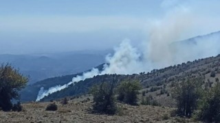 İzmirde ormanlık alandaki yangın kontrol altında