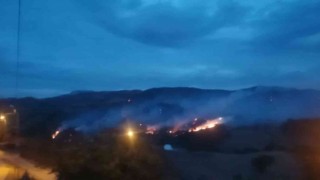 İzmirdeki orman yangını kontrol altına alındı
