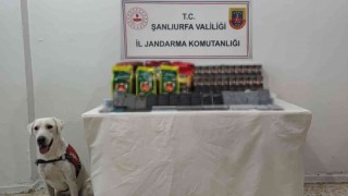 Jandarma köpeği kaçakçılığa geçit vermedi