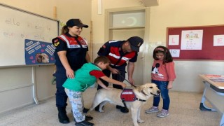 Jandarma köpeği Yazgana çocuklardan büyük ilgi