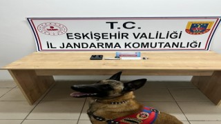 Jandarma narkotik köpeği ile yapılan operasyonda uyuşturucu madde ele geçrildi