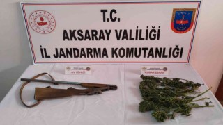 Jandarma odunlukta esrar ve tüfek ele geçirdi