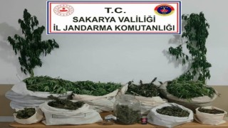 Jandarmadan uyuşturucu operasyonu: 3 gözaltı