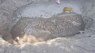 Kaçak kazıda buldukları mozaiğin başında yakalandılar