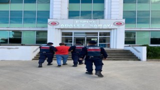 Kaçak uyuşturucu tacirini jandarma yakaladı