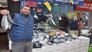 Karadenizde palamut bereketi: 3 tanesi 100 TL