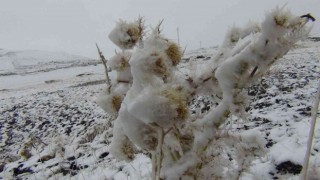 Karsa mevsimin ilk karı yağdı