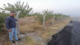 Kayısı üreticisinin başı tel örgü hırsızlarıyla dertte