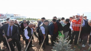 Kayserinin denizi ağaçlandırılıyor