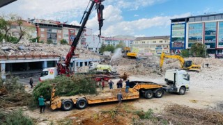 Kent Meydanının yapılacağı alandaki ağaçlar naklediliyor