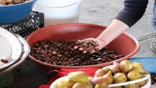 Kestane pazara indi, kilosu 45 TL