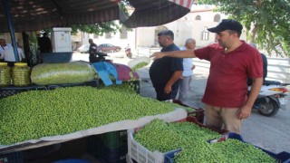 Kiliste yerli sofralık zeytin tezgahlarda yerini aldı