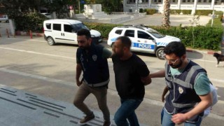 Kökünü Kurutma Operasyonu