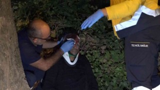 Kontrolden çıkan araç ağaca çarptı, kapıdan savrulan sürücü başından yaralandı