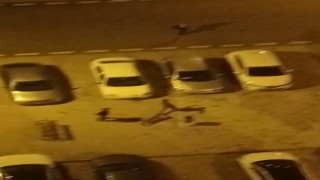 Köpeği çocukların üstüne saldı, korkan çocuk otomobilin üstüne çıktı