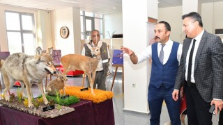 Korkut Ata Üniversitesi’nde “Hayvanları Koruma Günü” etkinliği