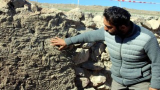Kültepede 4 bin 500 yıllık parmak izleri bulundu
