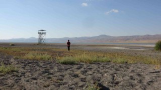 Kuş cenneti Erçek Gölünde korkutan su kaybı