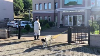 Maden kazası soruşturmasında ifadeler alınmaya devam ediyor