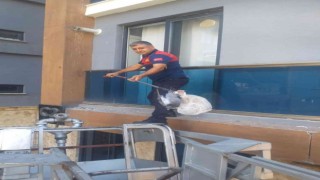 Mahsur kalan güvercini itfaiye ekipleri kurtardı