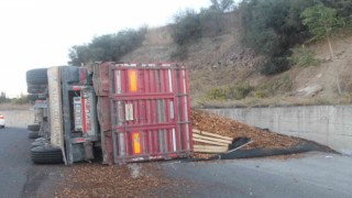 Manisada talaş yüklü tır devrildi: 1 yaralı