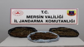 Mersinde 10 kilo 248 gram skunk ele geçirildi