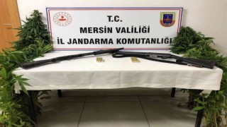 Mersinde uyuşturucu operasyonu: 2 gözaltı