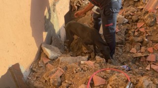 Metruk binada mahsur kalan köpeği itfaiye kurtardı