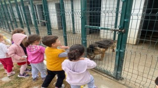 Miniklerden hayvan barınağına ziyaret